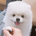 후기 개인적인 <b>감정</b>으로 쓴 거 잘못한 거야?