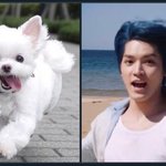 [NCT] 얘가 무슨 <b>AI</b>야