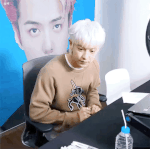 <b>박찬열</b> ㄹㅇ 강아지인가