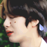 형원시 ㄹㅇ갔나보네.....ㅇ 이제 안올듯 인줌<b>무새</b>처럼