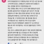 [드루와] 양팡 유기견 생방송에 있었던 사람의 댓글 증언
