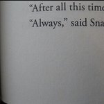 [드루와] 와 도티 뭐야 연세대 <b>법대</b> 나왔대