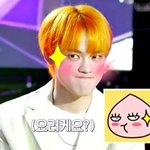 야 <b>종천</b>러 귀여워서 어떡하냐