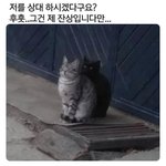 와 갑자기 <b>한옥</b>에서 살거싶다