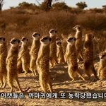 <b>소바</b>플 끝낼 뉴스엔 찌라시 떳다
