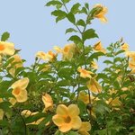 [댓글부탁해] 넷플릭스 추천받슴둥