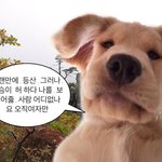 난 <b>인간</b>관계에 너무 혼자 상처 받고 <b>그런</b> 게 많아서