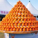 [댓글부탁해] 갑자기 나 개 쪽팔린거 <b>생각남</b>