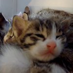 [EXO] 무...무서우니까 얘<b>통이</b>를 보자