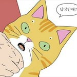 [댓글부탁해] 얼굴크기 재는법 알려줘