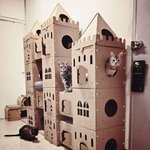 판지로 애썼다냥...