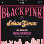 [블랙핑크] 와 블랙핑크 <b>월클</b>이다 진심 쌉소름