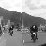 활어화 소주<b>원샷</b> 우럭두개더