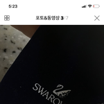 <b>백조</b> 목걸이 이거 어때??