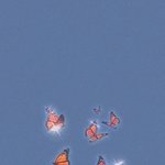 [<b>방</b>탈죄송] 오늘 겪었던 소름 돋는 일...(소름<b>주의</b>)