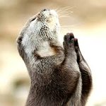 <b>비나</b>이다 비니이다