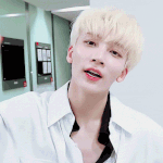 [세븐틴] 캐럿들 혹시 이거 알아?