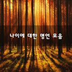 [꼭봐주세요] 나이에 대한 명언 모음~