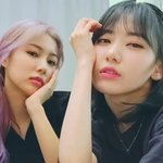 권은비 인스타 따라하는 아이즈원 멤버