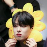 이 <b>구역</b>의 비타민 담당 in 아이돌