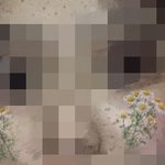 [ㅈㄱㄴ] 인스타 <b>필터</b> 찾아주라 ㅠㅠ
