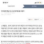 [드루와] 저번에 오늘의 톡선 길고양이들 기억나??