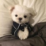 [이것좀봐줘] <b>skt</b> 들어와라