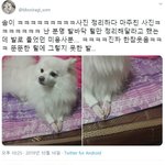 [드루와] 들어와서 추반해봐