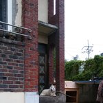 <b>밑</b> <b>집</b> 개 때문에 스트레스 받아 죽겠습니다.