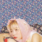 걍 여돌 <b>잡덕</b>이면 트친소 어케 열어?