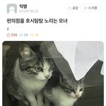 [19] 너흰 <b>판</b>에서 <b>욕</b>처먹어본적 있냐