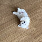 [댓글부탁해] <b>쌍테</b>로 아웃 라인 만들기 불가능? ㅠㅠ