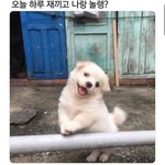 내 짝남 얼굴이랑 태도 완전 다르다