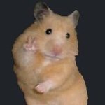 고1때 고3오빠랑 사궜던썰