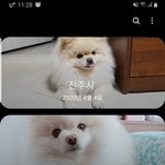 [이것좀봐줘] 갤럭시갤러리 스토리 무슨일이얔ㅋ큐ㅠㅠ