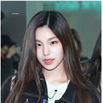 [댓글부탁해] 있지 <b>예지</b> 닮은 고앵이래 ㅋㅋㅋㅋ