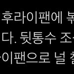 외퀴퇴치법이래