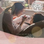 8개월을 8년처럼 산 아이돌이 여기있다