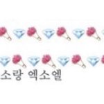 첫번째 <b>꽃신</b> 신기 114일전