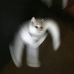 너네 키몸무게 <b>몇임</b> ㄹㅇ 솔직하게