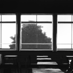 [댓글부탁해] ⭐ 2편) 진짜로 좀비사태 터지면 어떻게할거야?