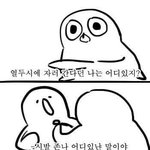 [공판] 다시 돌아온 공부 딱대