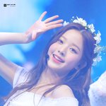 <b>원영</b>이 데뷔 첫날