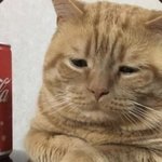 <b>엄마폰</b>으로 노딱 뚫은거 걸림