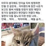 [방탄소년단] <b>진심</b> 몹시 걱정된다