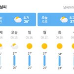 [드루와] 얘들아 대구 날씨 ㅈㄴ<b>미침</b>