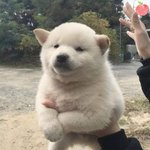 마스카라하고 <b>눈꼽</b>뗄때 어케함