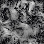 [드루와] 아이돌 멤버 수 많은거 너흰 좋음?