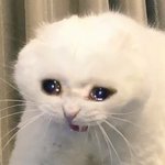 [댓글부탁해] 알바 진짜 힘들구나 죽는줄 ;;