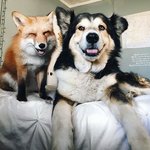 대성패스 살껀데 어때